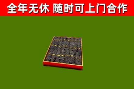 博罗回收海参